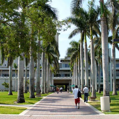 Indicação de Escolas e Cursos